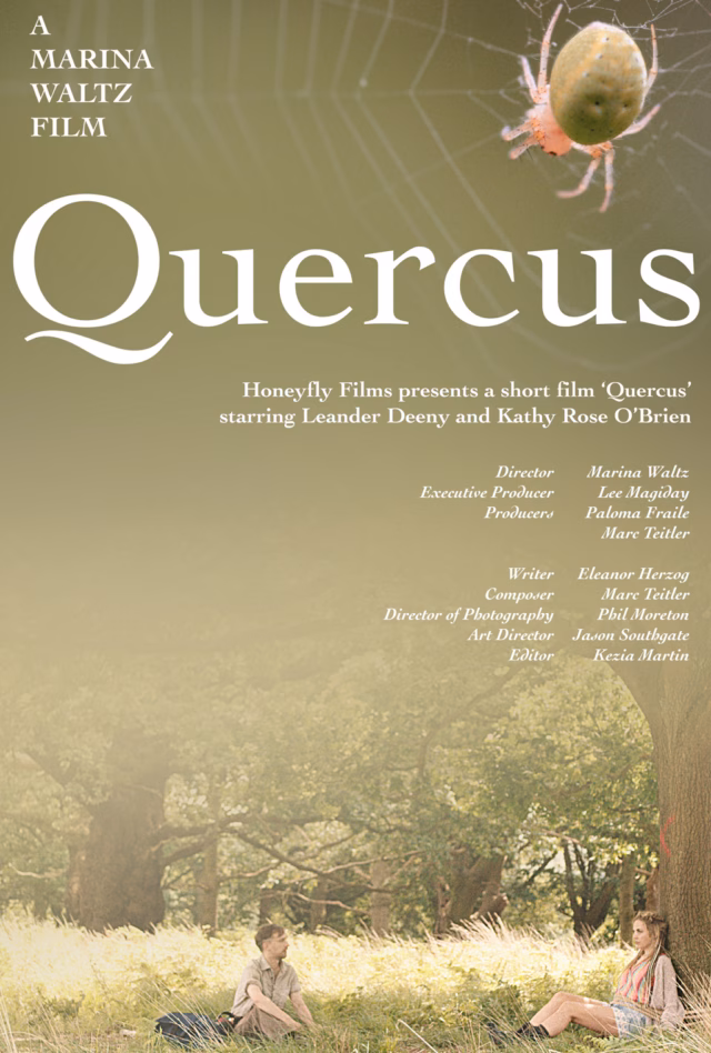 quericus Quercus